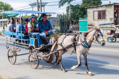Camagüey, Cuba - 25 Ocak 2016: Camagüey at arabası