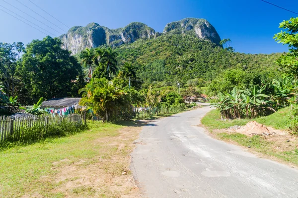 Carretera Valle Vinales Cuba — Foto de Stock