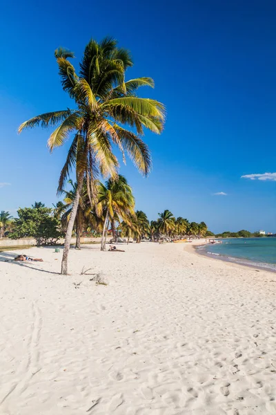 Playa Giron Cuba Feb 2016 Turistas Playa Playa Girón Cuba — Foto de Stock