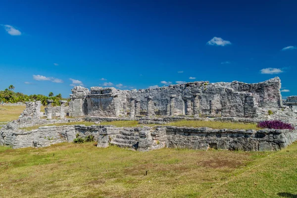 Harabeleri Antik Maya Kentin Tulum Meksika — Stok fotoğraf