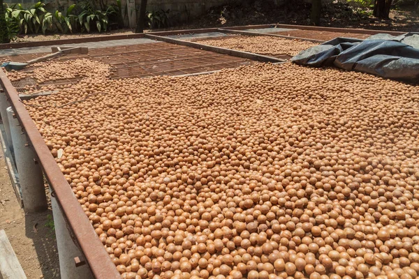 Tabulka Pro Sušení Macadamia Ořechy Guatemala — Stock fotografie