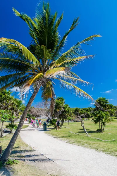 Tulum, Mexio - 29 Şubat 2016: Tulum, Meksika antik Maya şehir kalıntıları turist ziyaret