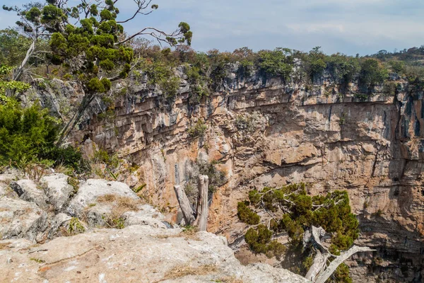 Hoyo Cimarron Cenote Sinkhole Northwestern Guatemala — Stock Photo, Image