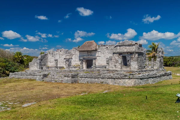 Harabeleri antik Maya kentin Tulum, Meksika