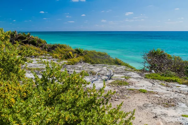 Caribbean Coast Ruins Ancient Maya City Tulum Mexico — Stock Photo, Image