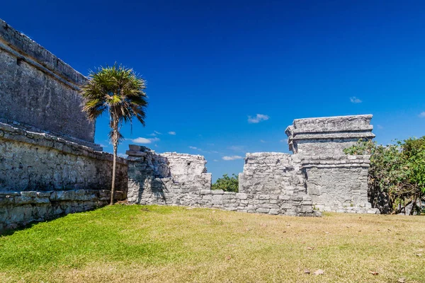 Harabeleri Antik Maya Kentin Tulum Meksika — Stok fotoğraf