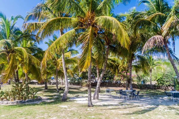 Playa Giron Köyü, Küba'ya yakın deniz alanı Caleta Buena Domuzlar Körfezi, görünümünü.