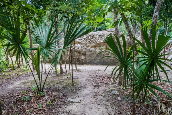 Ruinen Der Maya Stadt Coba Mexiko — Stockfoto