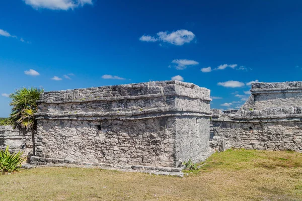 Harabeleri antik Maya kentin Tulum, Meksika