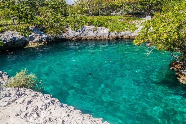 Бухта Побережье Пай Свинс Вблизи Деревни Плая Хирон Куба — стоковое фото