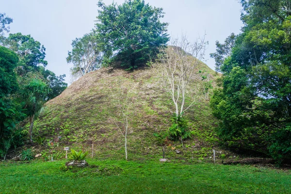 Sit alanı Tikal, Guatemala piramit
