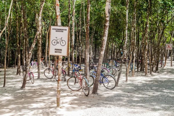 Coba México Marzo 2016 Alquiler Bicicletas Las Ruinas Ciudad Maya —  Fotos de Stock