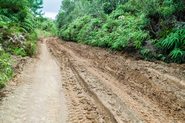 Muddy Road Sierra Maestra Mountain Range Cuba — Stock Photo, Image