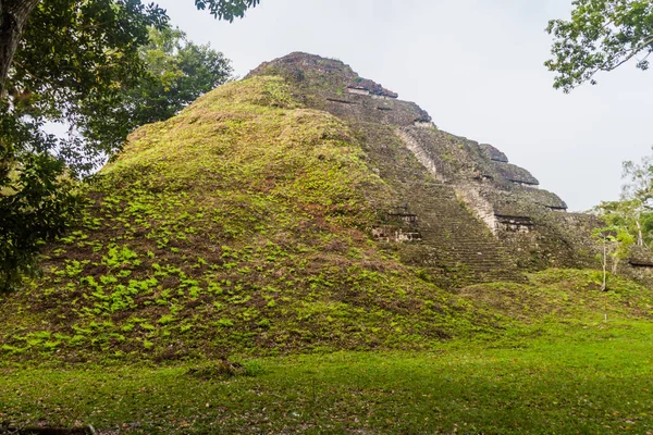 Pyramid Archaeological Site Tikal Guatemala — Stock Photo, Image