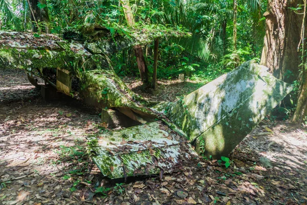 Cockscomb Havzası yaban hayatı kutsal, Belize uçak kazasında. Dr. Alan Rabinowitz, biyolog Jaguarlar eğitim ile bu uçak düştü.