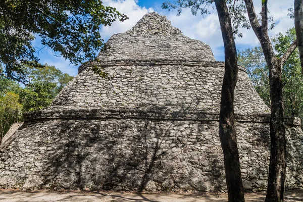 Coba, Meksika Maya şehir kalıntıları resimlere Tapınağı
