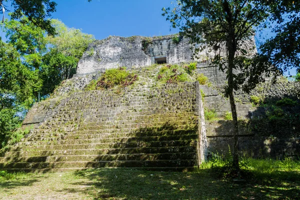 Karmaşık P arkeolojik alanında Tikal, Guatemala