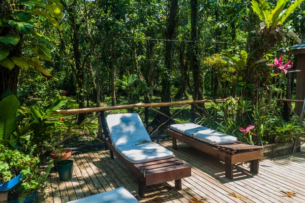 Boardwalks in the jungle lodge, Guatemala