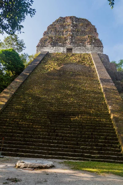 Templo Sitio Arqueológico Tikal Guatemala —  Fotos de Stock