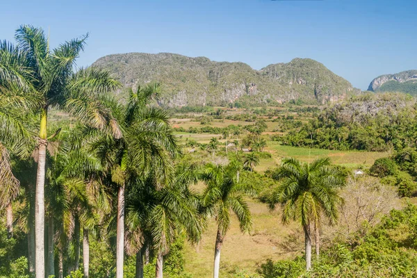 Doğal manzara Vinales vadinin, Küba