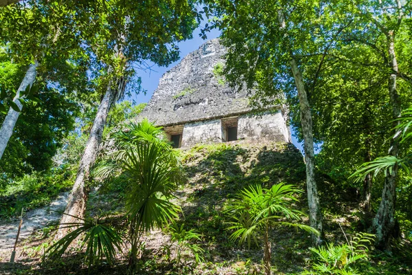 Tapınak Adlı Sit Alanı Tikal Guatemala — Stok fotoğraf