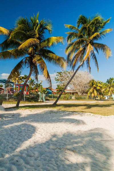 Playa Giron Köyü, Küba Beach'te avucunda.
