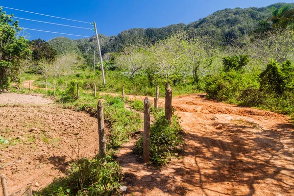 バジェ アンコン村 キューバの近くの泥だらけの道 — ストック写真