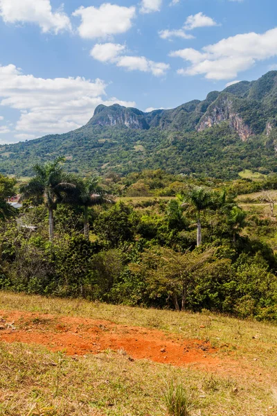 Guasasa Vadisi Vinales, Cuba yakınındaki görünümünü