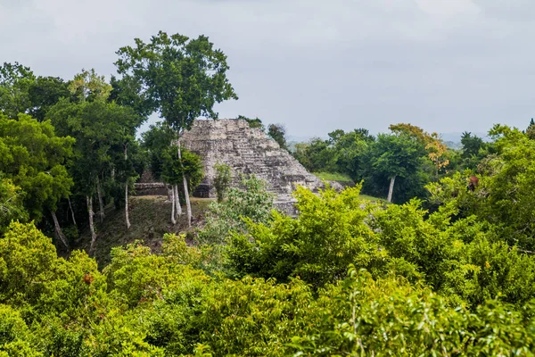Ruínas Acrópole Norte Sítio Arqueológico Yaxha Guatemala — Fotografia de Stock