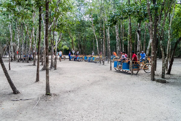Coba Mexico March 2016 Pedi Trikes Bicycle Taxi Riders Wait — Stock Photo, Image