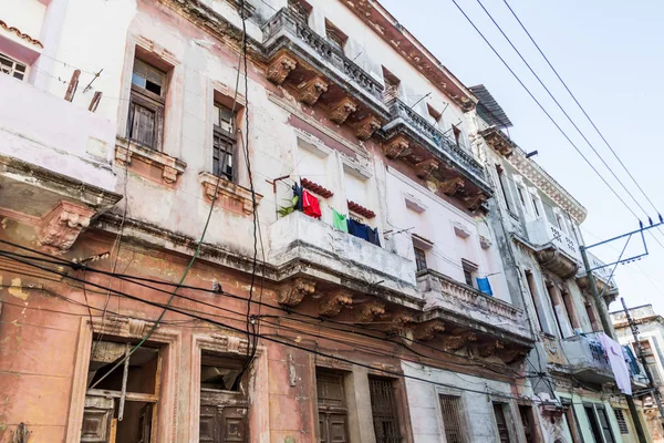 Havana Centro mahalle, Havana, yavrusu dökük