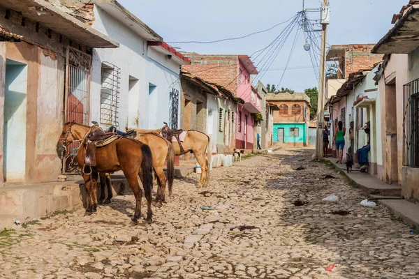Trinidad, Küba - 8 Şubat 2016: Trinidad, Küba'nın merkezi bir Arnavut kaldırımlı sokakta atların görünüm.