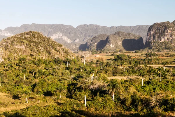 Sabah görünümünü Vinales Vadisi ile mogotes (kalker tepe), Küba
