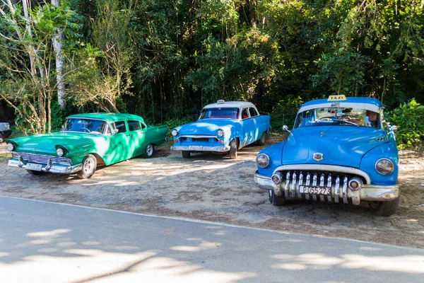 Vinales, Küba - 18 Şubat 2016: Vinales Valley, Küba Cueva del Indio mağaranın girişinde Vintage taksiler