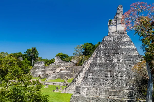 I, arkeolojik Tikal, Guatemala site Tapınağı