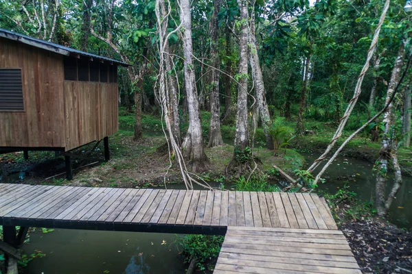 Boardwalks jungle Lodge, Guatemala