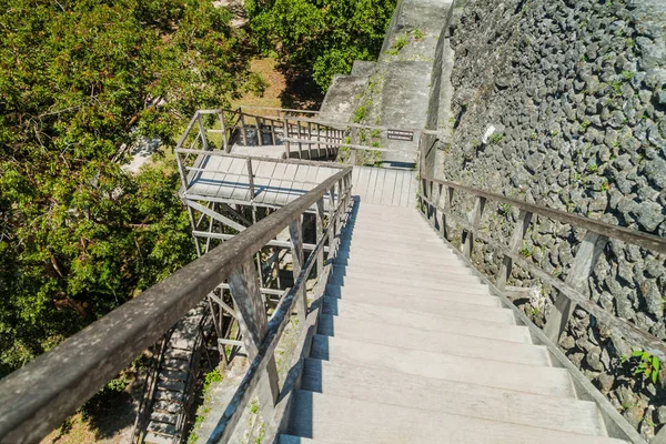 Treppe Zum Tempel Der Archäologischen Stätte Tikal Guatemala — Stockfoto