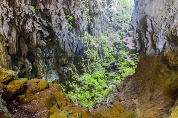 Cueva El Jardin (Bahçe mağara), Candelaria parçası karmaşık, Mucbilha Köyü, Guatemala yakınındaki mağara