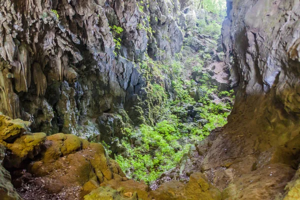 Cueva Jardin Kert Barlang Része Candelaria Barlang Komplex Közel Mucbilha — Stock Fotó