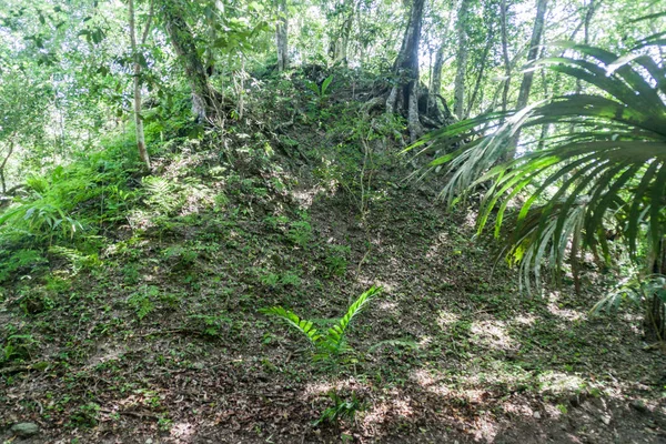 Aşırı büyümüş Harabeleri arkeolojik alanında Tikal, Guatemala