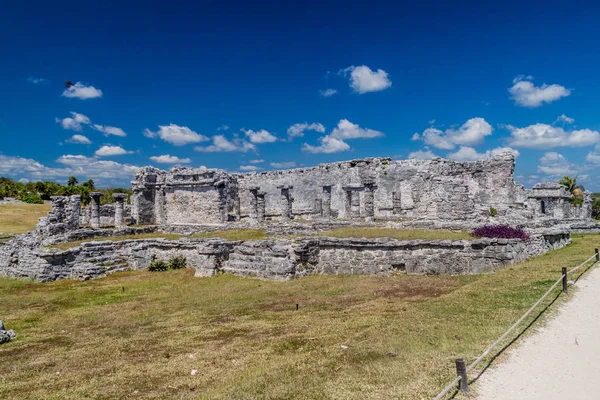 Harabeleri Antik Maya Kentin Tulum Meksika — Stok fotoğraf