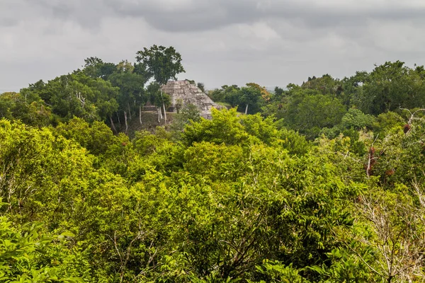 Ruinas Acrópolis Norte Yacimiento Arqueológico Yaxha Guatemala —  Fotos de Stock