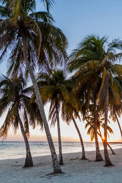 Вечер Пляже Деревне Плая Жирон Куба — стоковое фото