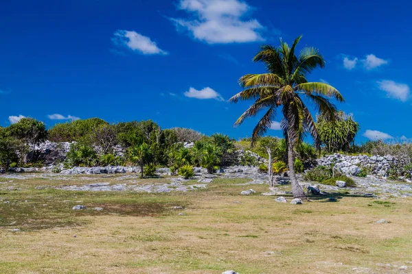 Harabeleri antik Maya kentin Tulum, Meksika