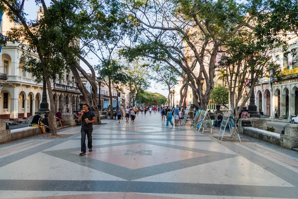 Habana Cuba Febrero 2016 Vista Una Zona Peatonal Avenida Paseo — Foto de Stock