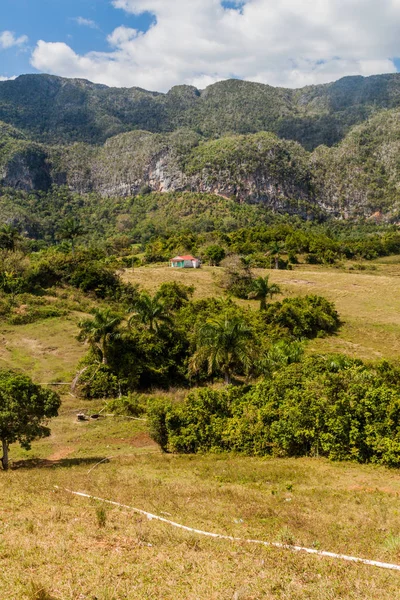 Guasasa Vadisi Vinales, Cuba yakınındaki görünümünü