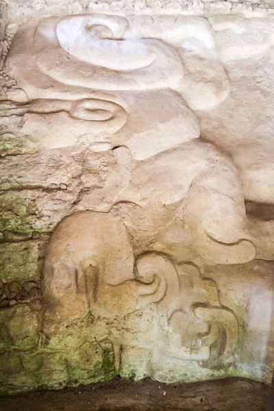 Yaxha グアテマラの遺跡で遺跡の詳細 — ストック写真