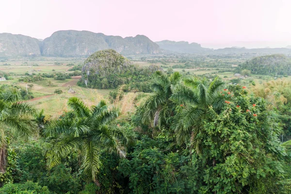 Vista Matutina Del Valle Vinales Con Montañas Mogote Cuba — Foto de Stock