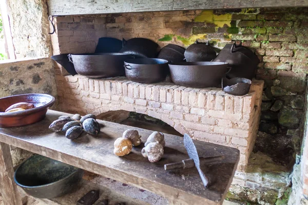 Gran Piedra Kuba Feb 2016 Kök Cafetal Isabelica Kaffe Växande — Stockfoto