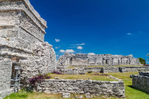 Руины Древнего Города Майя Тулум Мексика — стоковое фото